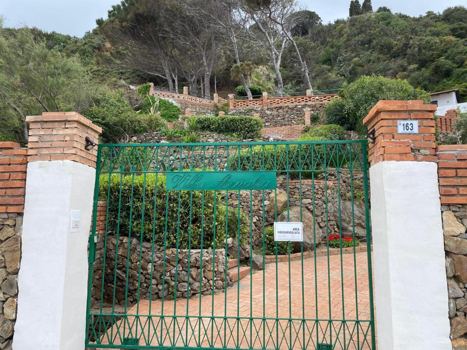 Villa Amalia Sul Mare メッシーナ エクステリア 写真